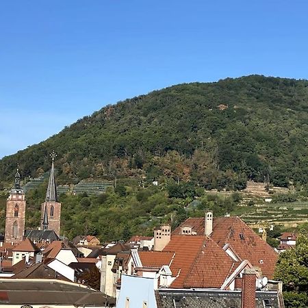 Modernes City-Appartement Neustadt an der Weinstraße Esterno foto