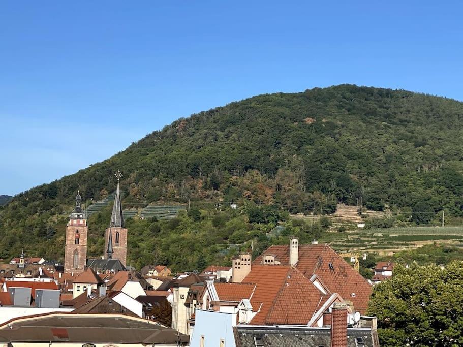 Modernes City-Appartement Neustadt an der Weinstraße Esterno foto
